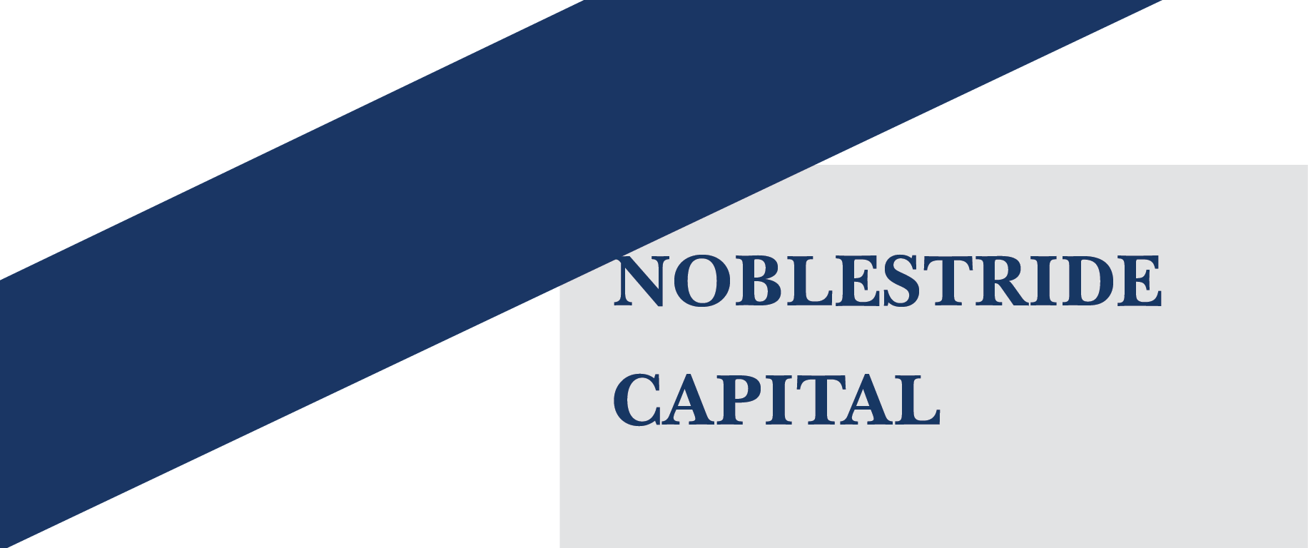 NOBLESTIDE_LOGO-PNG